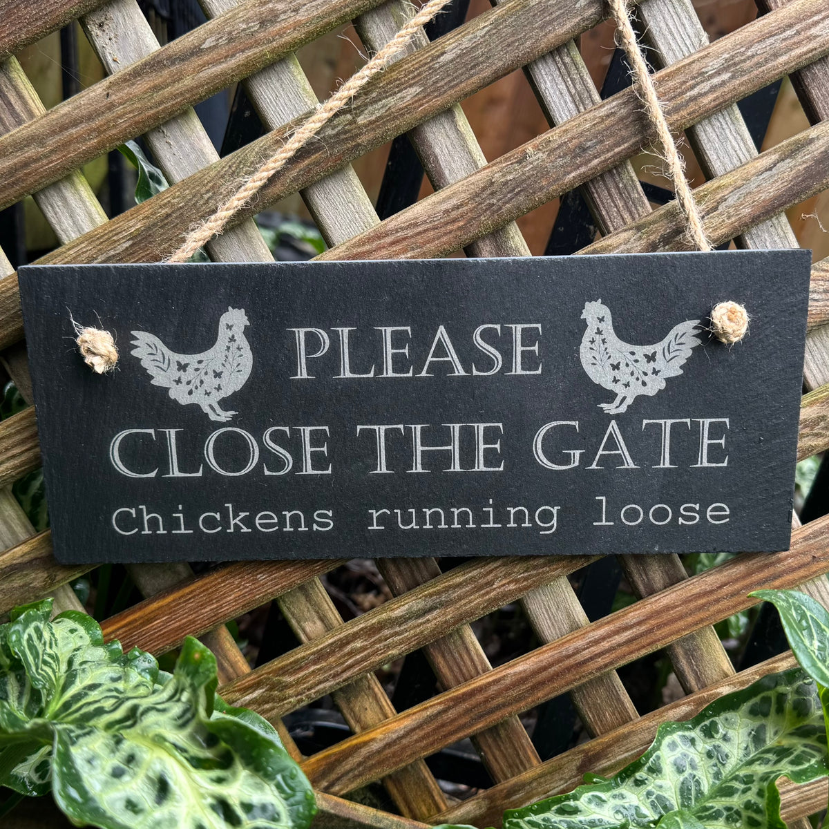 Cartello In Latta Umoristico Per Recinto - 'Keep The Gate Closed' Con Gallina - 20x30 Cm Per Esterni