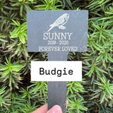 CUSTOM PET MEMORIAL Slate - Pet Grave Marker - Family Pet Loss - Dog, Cat, Chinchilla, Tortoise - Butterfly Crafts