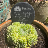 PET LOSS Keepsake - Rainbow Bridge - Laser Engraved Slate - Heart, Round or Square Coaster - Pet Bereavement - Butterfly Crafts